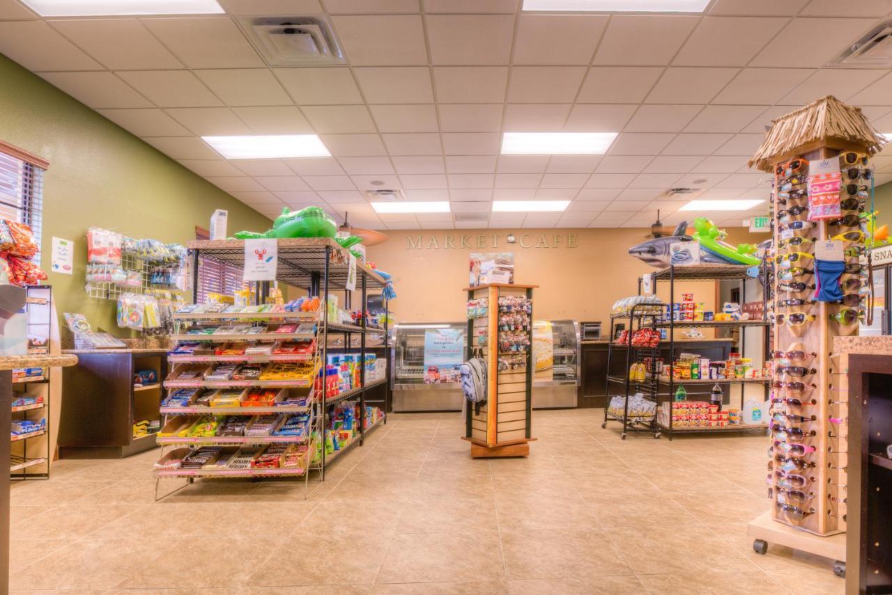 8960 Cat Palm Road Βίλα Kissimmee Εξωτερικό φωτογραφία
